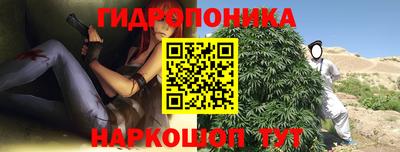 Альфа ПВП Будённовск