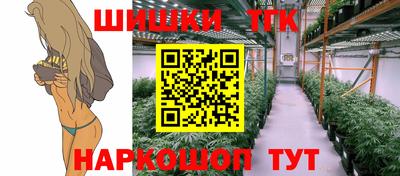 Альфа ПВП Будённовск